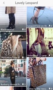 Styletag-App-lovely-leopard