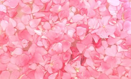 Pink Delight! Natural Dyeing with Camellia Flowers